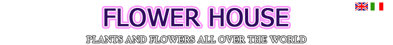 FLOWER HOUSE